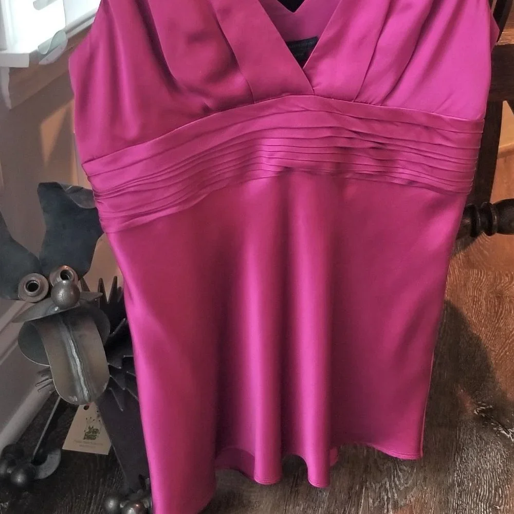 Armani Exchange Gorgeous Ex Cond/Pro Clean Silk Deep Pink Camisole L, $24 - Picture 8 of 11
